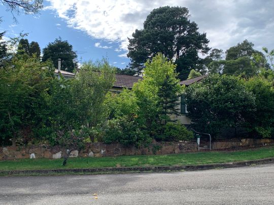 Great Location - Photo 1