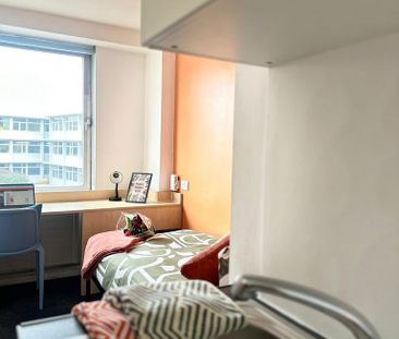 Studio to rent - Photo 4