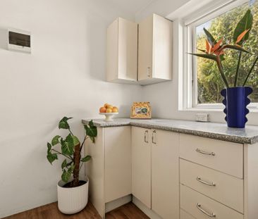 25 / 8 Wylde Street - Photo 6