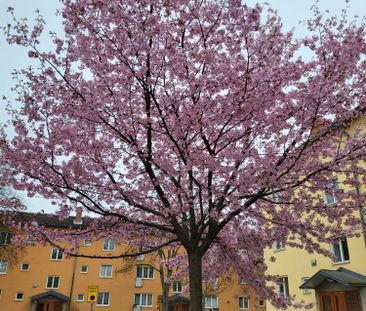 Örtagårdsvägen, Älvsjö - Photo 3