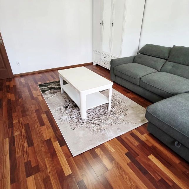 Apartament de inchiriat, 2 camere Popas Pacurari - Photo 1