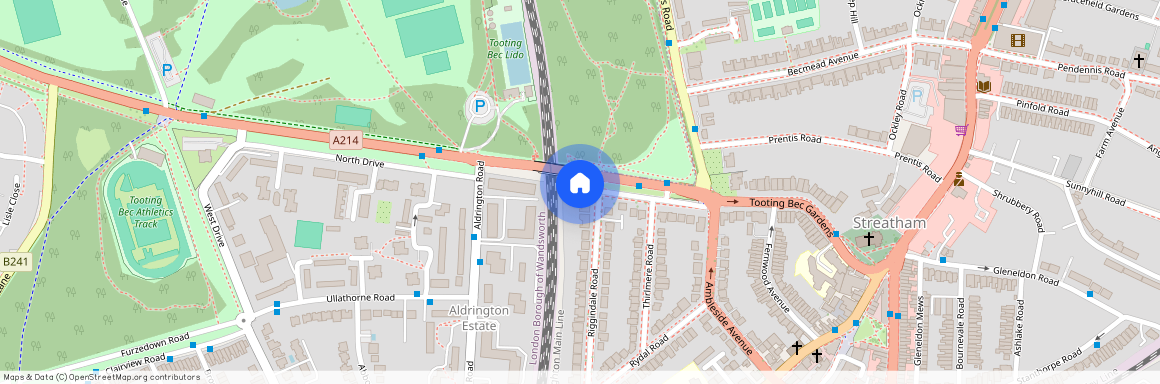 Riggindale Road, SW16