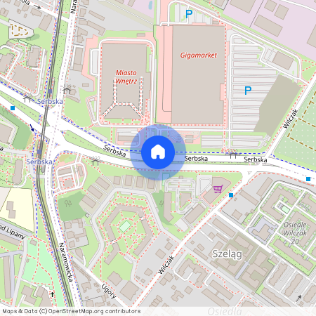 ul. Serbska, Winogrady, Stare Miasto, Poznań, wielkopolskie