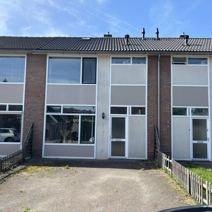 Maison familiale Saturnusstraat, De Krim - À louer - Photo 1