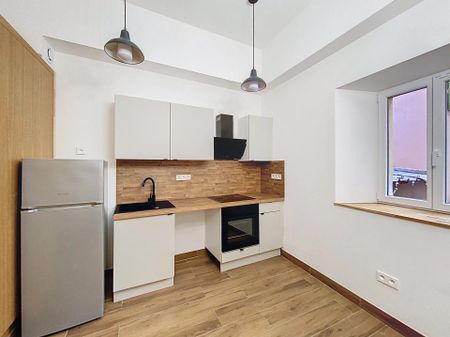 Location Appartement 1 pièce 24m² NICE 06300 - Photo 5