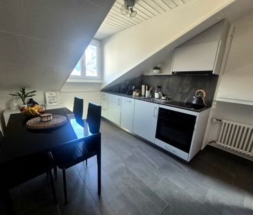 EVIONNAZ - STUDIO FOR RENT - Photo 5