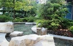 For Lease - 58 Marine Parade Drive Unit# 317, Toronto, Ontario - Photo 1