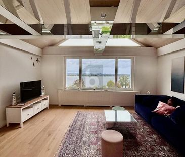 PANORAMIC VIEW OF THE BODENSEE - Photo 1