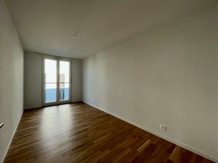 LE TICLE : Appartements neufs à louer - Photo 5