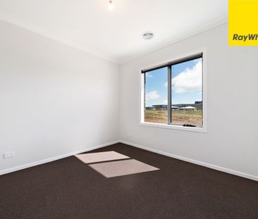 Luxury & Sustainability - Brand New Bugendore 4 bedroom Home - Photo 5
