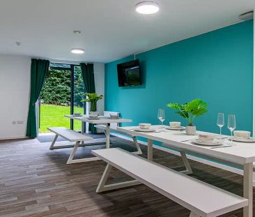 Premium Ensuite - Photo 3