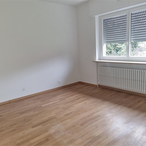 Location Maison 165.53 M² WENTZWILLER 1 800 € - Photo 1