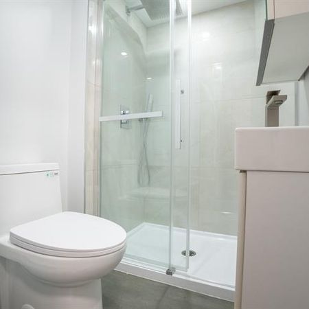 3915 Rue Masson - Photo 4