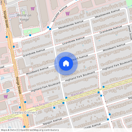 39 Woodward Avenue Unit# Bsmt, Markham