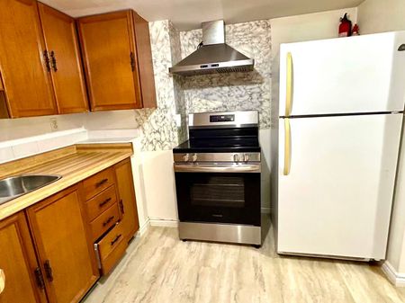 For Lease - 368 Browndale Crescent Unit# Basement, Richmond Hill, Ontario - Photo 4