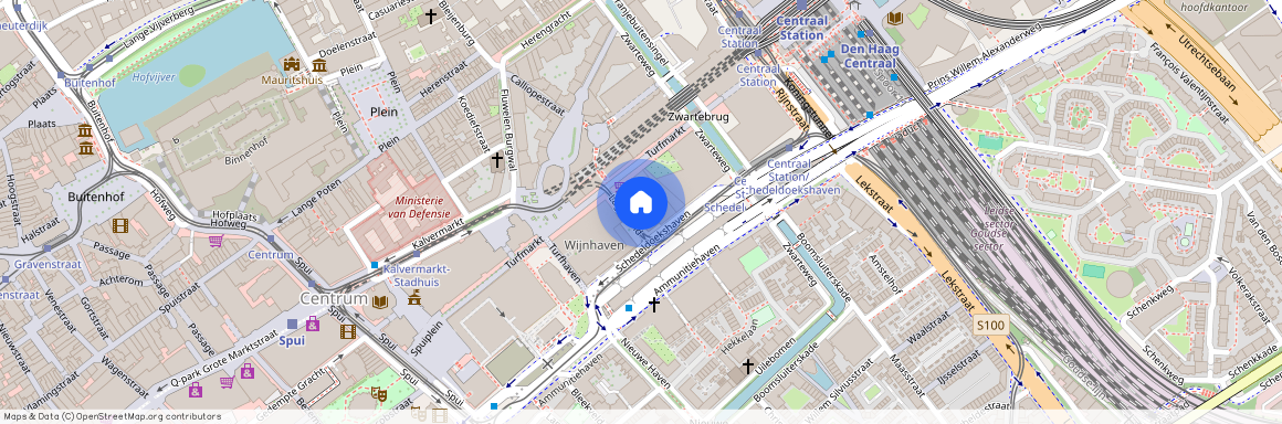 Lage Zand 458, Uilebomen, 2511GT, Den Haag