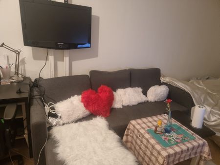Lisa Sass gata, Hisings Backa - Foto 4