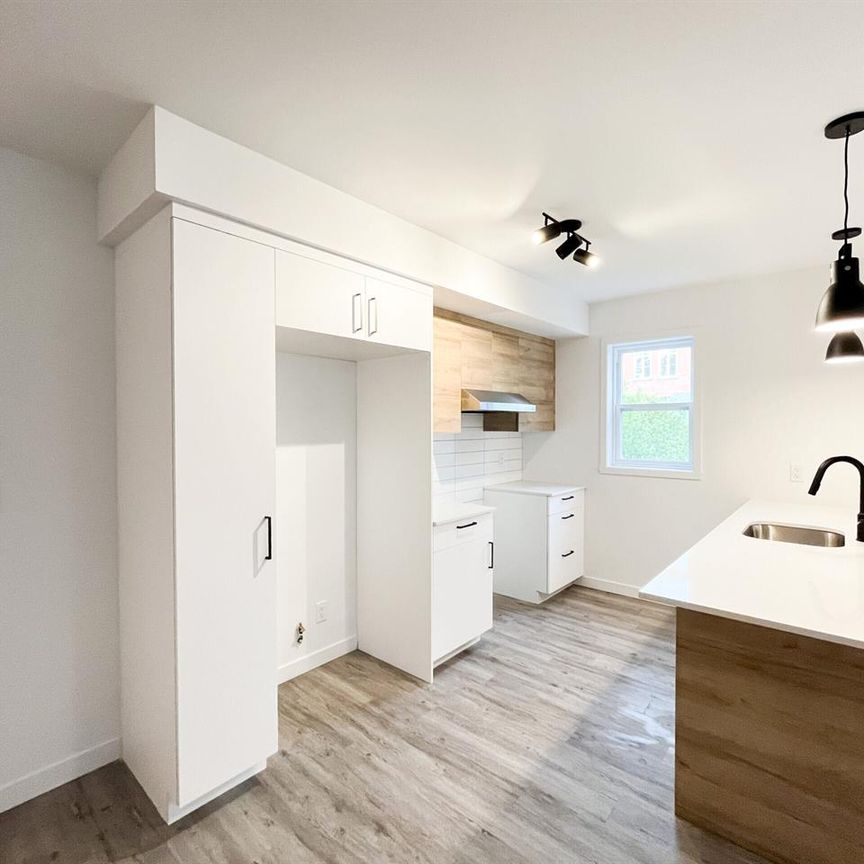 361 Rue Bruno-Dandenault - Photo 1