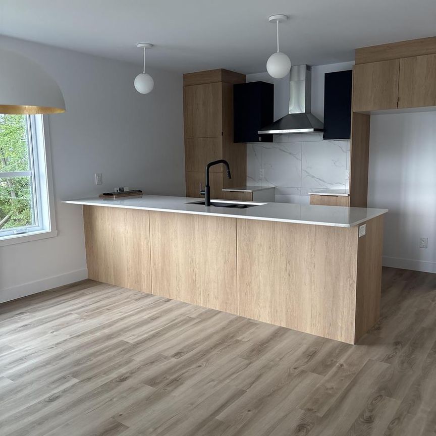 Immeuble 192 Allée Albert-Knight Magnifique 4 1/2 - Magog - Photo 1