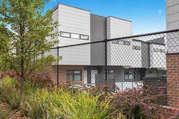 3/33 Braybrooke St, Bruce ACT 2617 - Townhouse For Rent | Domain - Photo 1