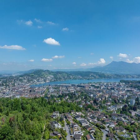 Stylish 5.5 room apartment with privileged view - Photo 3