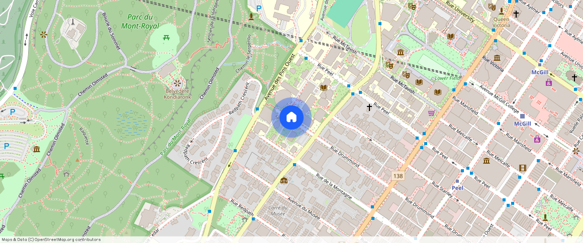 Ville-Marie, Ville-Marie, Ile de Montréal, H3G 1Y5