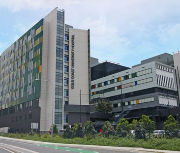 Refreshed unit within minutes to the Broadwater! - Photo 5