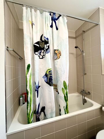 3-ROOM APARTMENT IN ZURICH – DISTRICT 2, FURNISHED, TEMPORARY - Photo 2