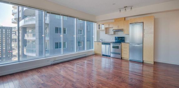 1 chambre - 400, Sherbrooke Ouest, Montréal - Photo 2