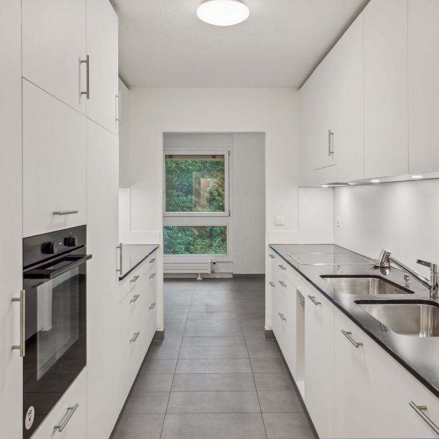 Grosse 6.5 Zimmerwohnung duplex zu vermieten in Freiburg - Foto 1