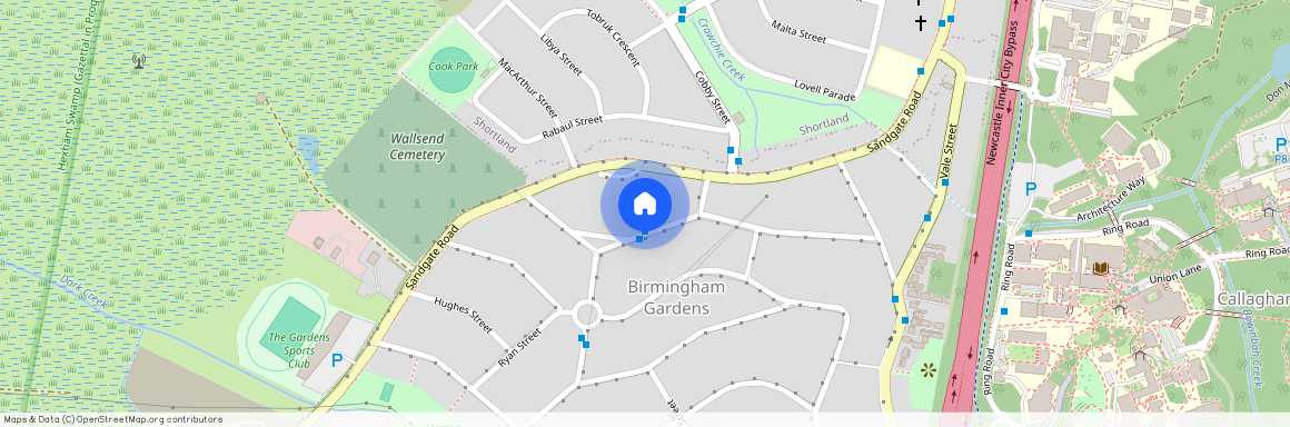 46 Rae Street, NSW 2287, Birmingham Gardens