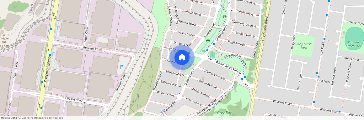 13a Biana Street, NSW 2145, Pemulwuy