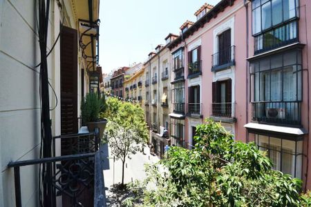 Calle de las Fuentes, Madrid, Community of Madrid 28013 - Photo 5