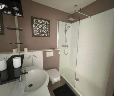 DOLE (39) Appartement meublé de type 3 - Photo 4