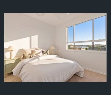 Coastal Living in the Heart of Palm Beach - Just Moments from the B... - Photo 6