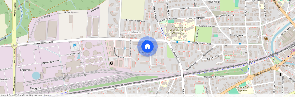 Hasenbühlstr. 4, 8500, Frauenfeld