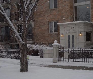 Furnished Top Floor River-view Apartment in Historic Sunnyside Building — 1 Bedroom Apartment - Photo 1
