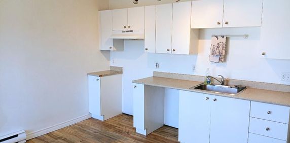 Chaleureux 4 1/2 à deux pas du Centre-Ville (Animaux acceptés) - Photo 2