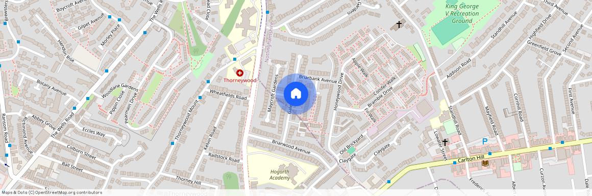 Galena Drive, NG3