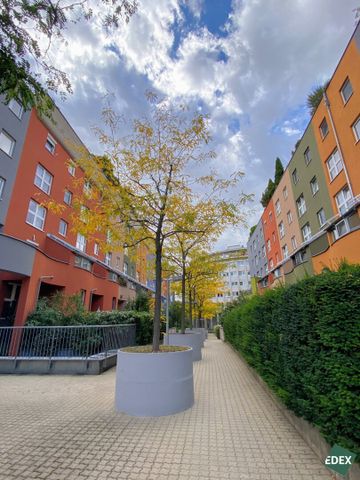 Modernes, helles Single-Apartment mit Terrasse zwischen Rochusmarkt und Donaukanal - Foto 4