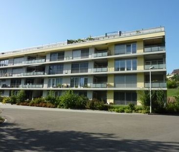 Attractive apartment with large roof terrace - Foto 4