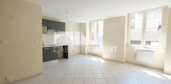 Location Appartement 2 pièces 41m² ST ETIENNE 42000 - Photo 2