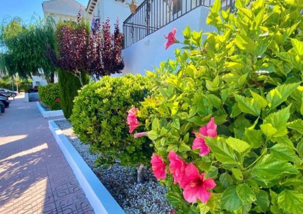 1 bedroom ground floor apartment for rent in Playa Flamenca - Orihuela Costa