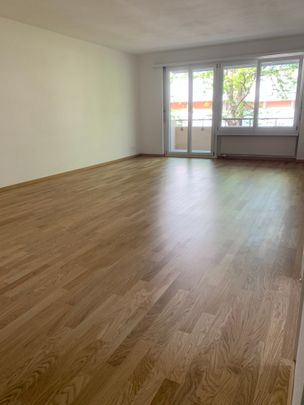 3 Zi.-Wohnung mit grosser Terrasse, stadtnah und ruhig - Photo 1