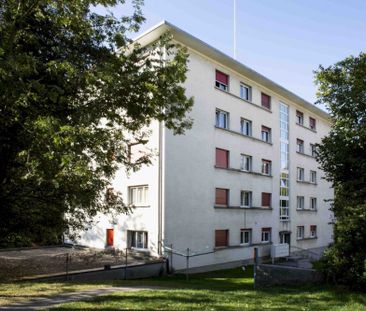 Appartement de 3 pièces entièrement rénové à Lausanne - Photo 6