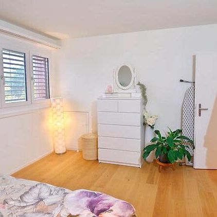 2½ Zimmer-Dachwohnung in Uster (ZH), möbliert, auf Zeit - Foto 1