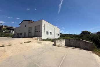 Capannone in affitto