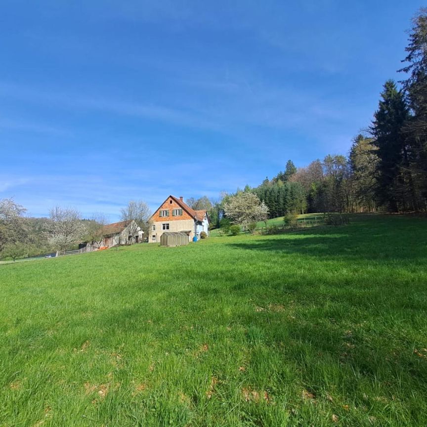 Landwirtschaft Nähe Graz mit Mietkaufoption - Ideal für Pferdehaltung! - Photo 1