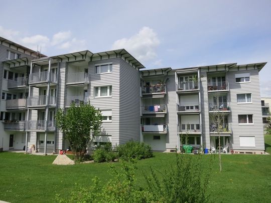 4 ½ Zimmer-Wohnung in Effretikon mieten - Photo 1