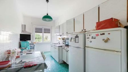 Piazza Giancarlo Vallauri, Rome, Lazio 00154 - Photo 4